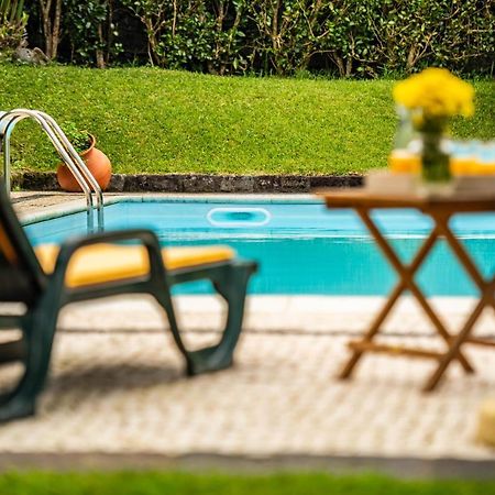 Willa Casa Do Pinheiro With Shared Swimming Pool São Vicente Ferreira Zewnętrze zdjęcie